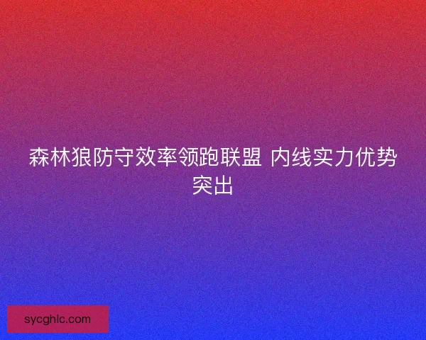 森林狼防守效率领跑联盟 内线实力优势突出