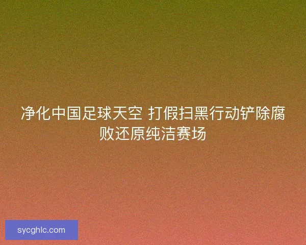 净化中国足球天空 打假扫黑行动铲除腐败还原纯洁赛场 净化中国足球天空 打假扫黑行动铲除腐败还原纯洁赛场