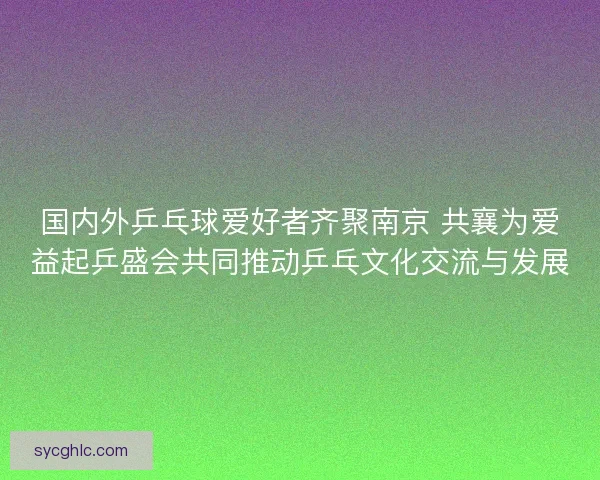 国内外乒乓球爱好者齐聚南京 共襄为爱益起乒盛会共同推动乒乓文化交流与发展 国内外乒乓球爱好者齐聚南京 共襄为爱益起乒盛会共同推动乒乓文化交流与发展