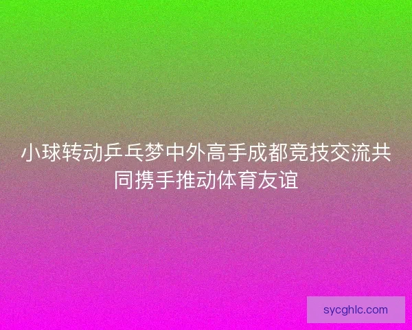 小球转动乒乓梦中外高手成都竞技交流共同携手推动体育友谊